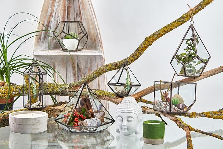 Glass Terrarium - Small Diamond - imagine 4
