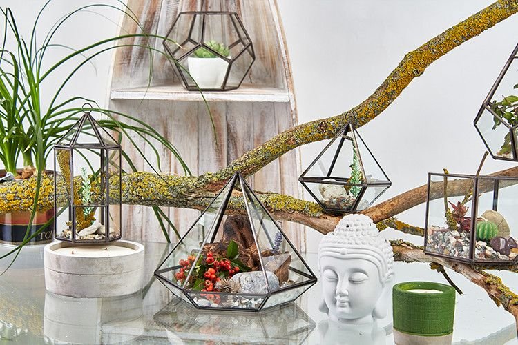 Glass Terrarium - Small Diamond - imagine 6