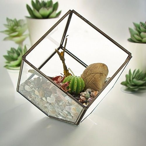 Glass Terrarium - Cube on Corner - imagine 4
