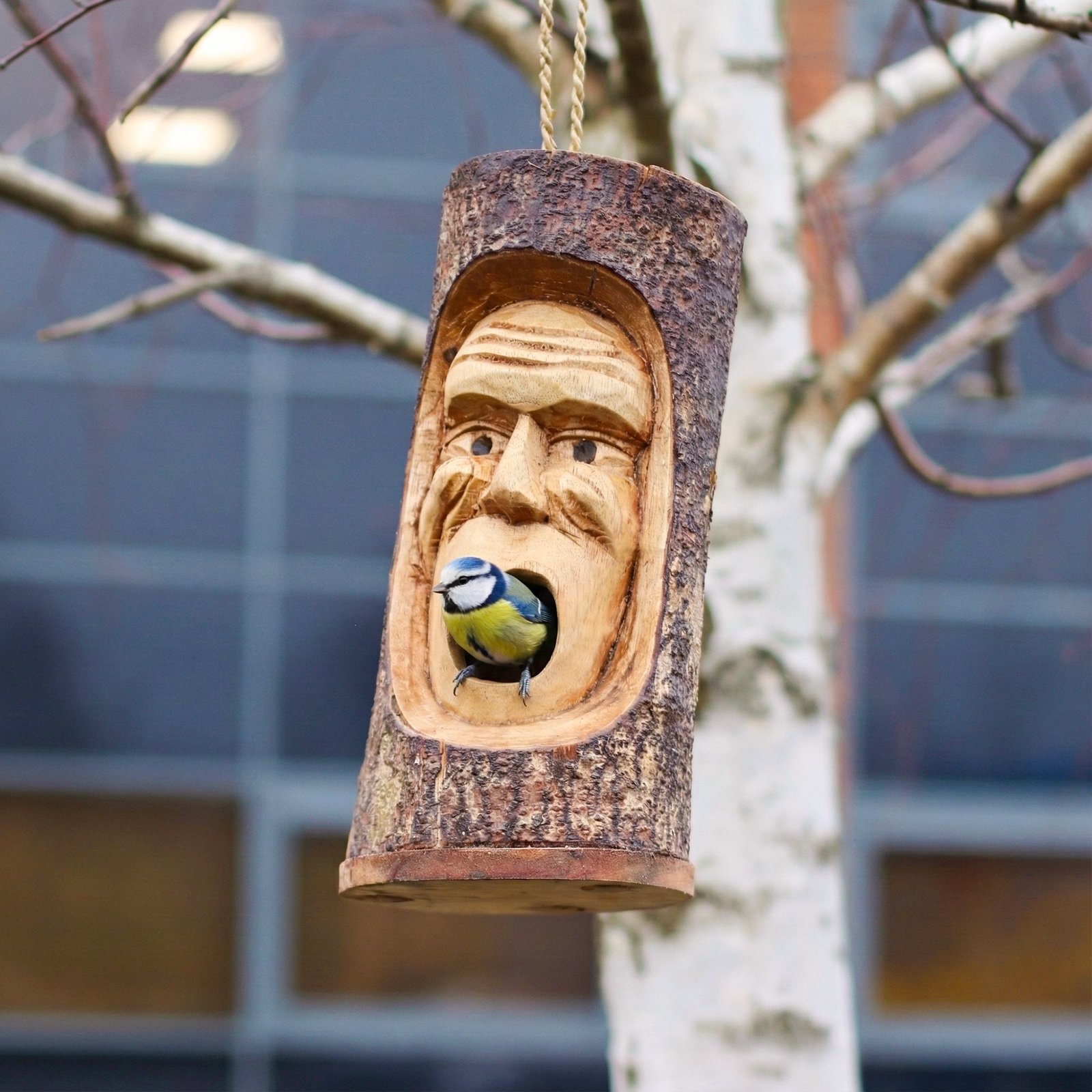 Tree Trunk Face - Bird House - Grumpy Old Man - imagine 5