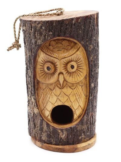 Tree Trunk Face - Bird House - Wise Owl