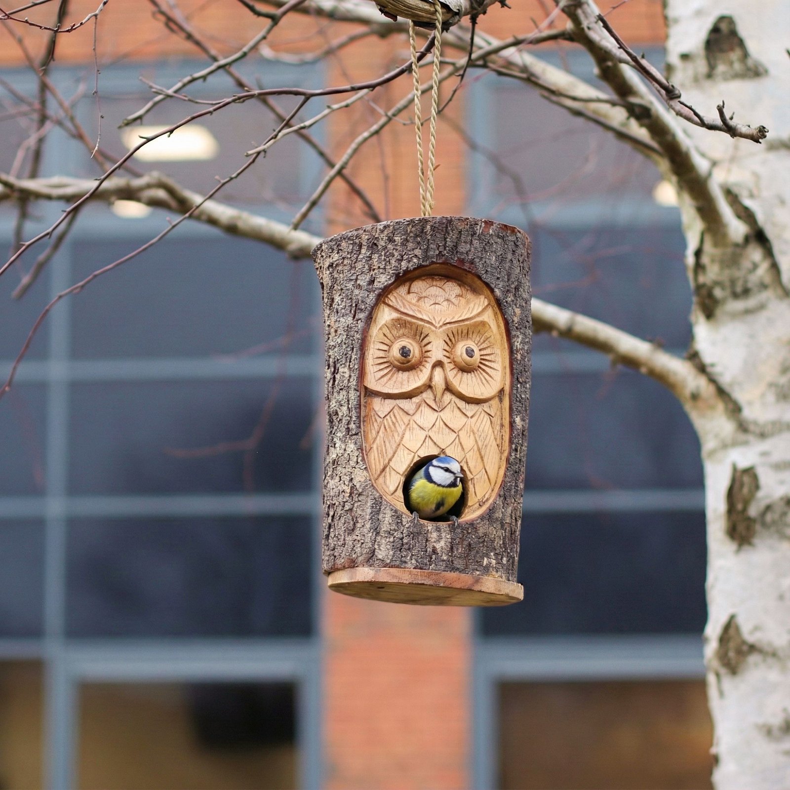 Tree Trunk Face - Bird House - Wise Owl - imagine 4