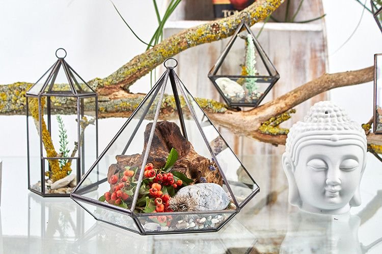 Glass Terrarium - Large Diamond - imagine 5