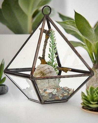 Glass Terrarium - Small Diamond
