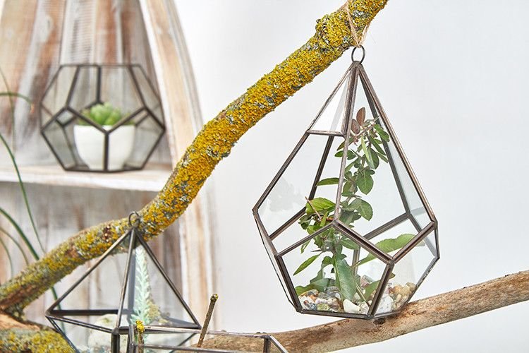 Glass Terrarium - Large Pyramid - imagine 4