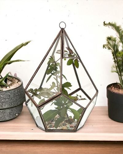 Glass Terrarium - Large Pyramid