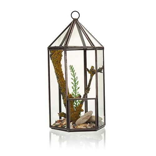 Glass Terrarium - Lantern Shape - imagine 2