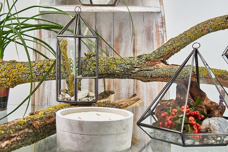Glass Terrarium - Large Octagon - imagine 4