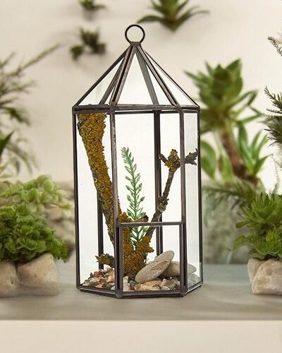 Glass Terrarium - Lantern Shape