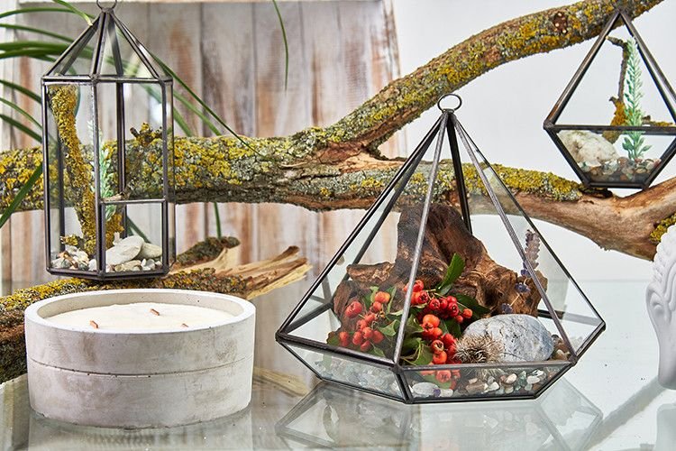 Glass Terrarium - Large Diamond - imagine 4