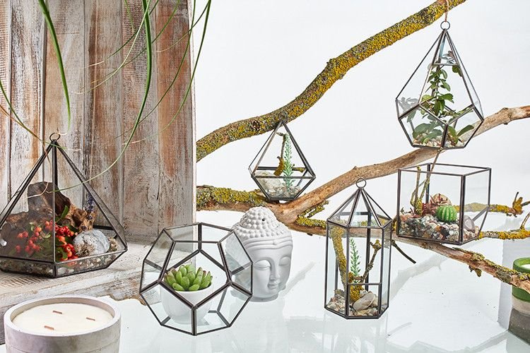 Glass Terrarium - Cube on Corner - imagine 3
