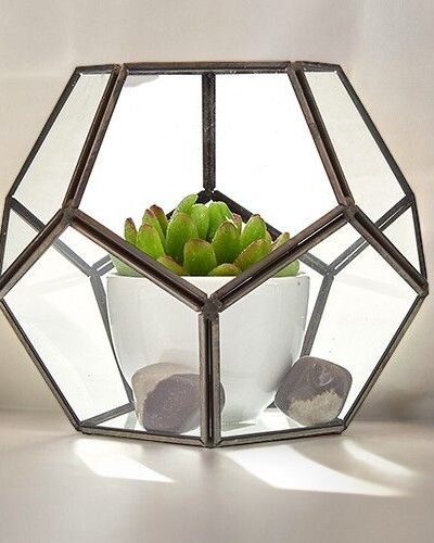Glass Terrarium - Large Octagon